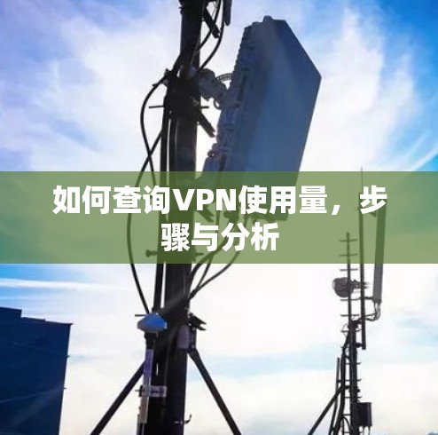 如何查询VPN使用量,步骤与分析