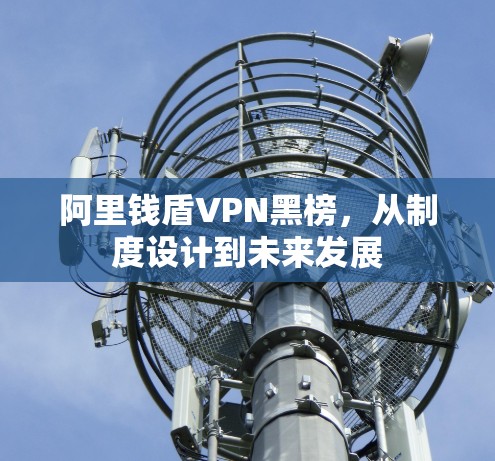 阿里钱盾VPN黑榜,从制度设计到未来发展 阿里钱盾VPN黑榜,从制度设计到未来发展
