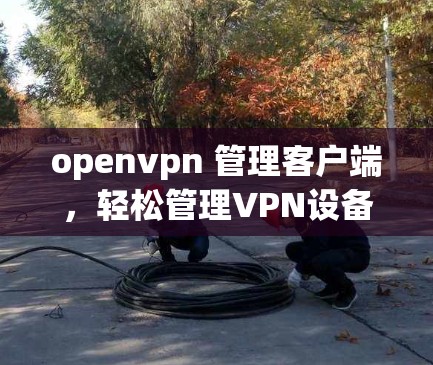 openvpn 管理客户端,轻松管理VPN设备的指南 openvpn 管理客户端,轻松管理VPN设备的指南