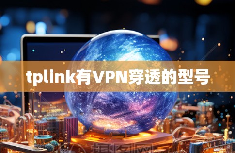 tplink有VPN穿透的型号 tplink有VPN穿透的型号