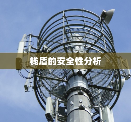 钱盾的安全性分析 钱盾的安全性分析