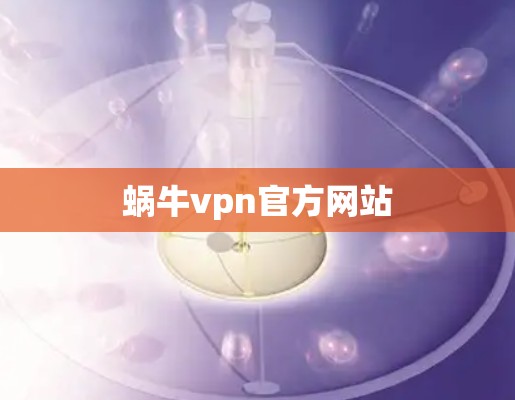 蜗牛vpn官方网站 蜗牛vpn官方网站