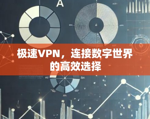 极速VPN,连接数字世界的高效选择 极速VPN,连接数字世界的高效选择
