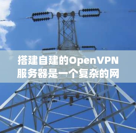 搭建自建的OpenVPN服务器是一个复杂的网络配置过程,但可以通过以下步骤逐步完成 搭建自建的OpenVPN服务器是一个复杂的网络配置过程,但可以通过以下步骤逐步完成
