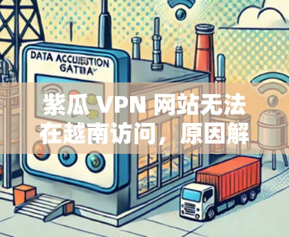 紫瓜 VPN 网站无法在越南访问,原因解析及解决方案 紫瓜 VPN 网站无法在越南访问,原因解析及解决方案