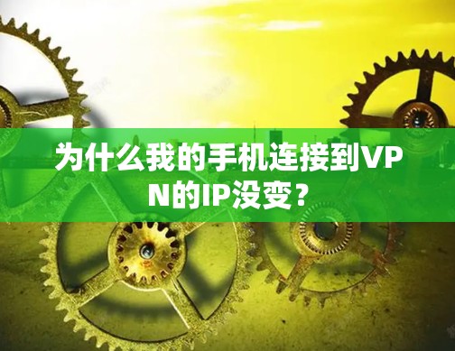 为什么我的手机连接到VPN的IP没变？
