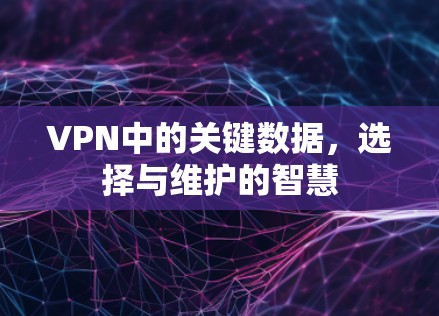 VPN中的关键数据,选择与维护的智慧 VPN中的关键数据,选择与维护的智慧