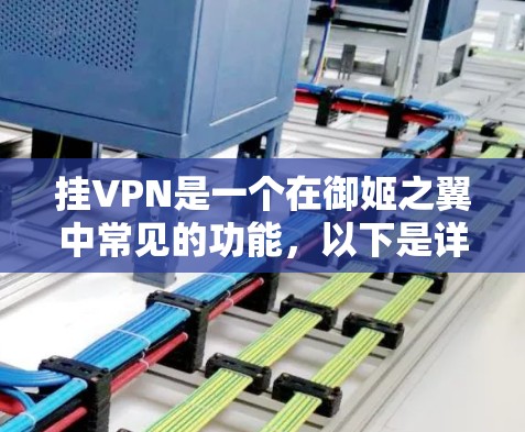 挂VPN是一个在御姬之翼中常见的功能,以下是详细的步骤指南 挂VPN是一个在御姬之翼中常见的功能,以下是详细的步骤指南