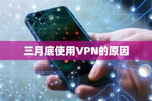 三月底使用VPN的原因