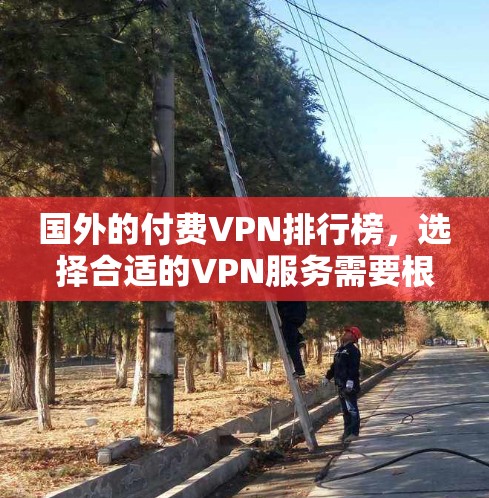 国外的付费VPN排行榜，选择合适的VPN服务需要根据个人需求和预算来决定。以下是几个主要的付费VPN服务推荐，涵盖价格、功能、安全性和适用场景