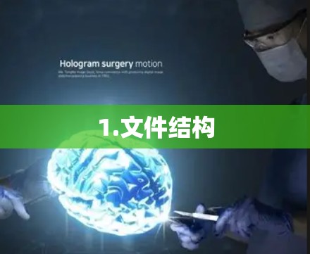1.文件结构 1.文件结构