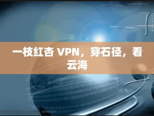 一枝红杏 VPN,穿石径,看云海 一枝红杏 VPN,穿石径,看云海