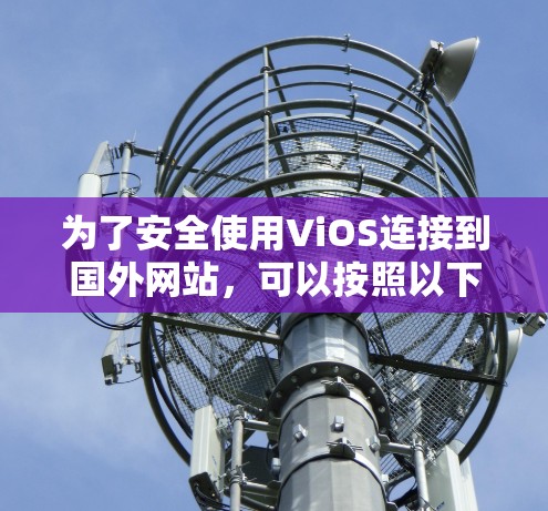 为了安全使用ViOS连接到国外网站，可以按照以下步骤进行
