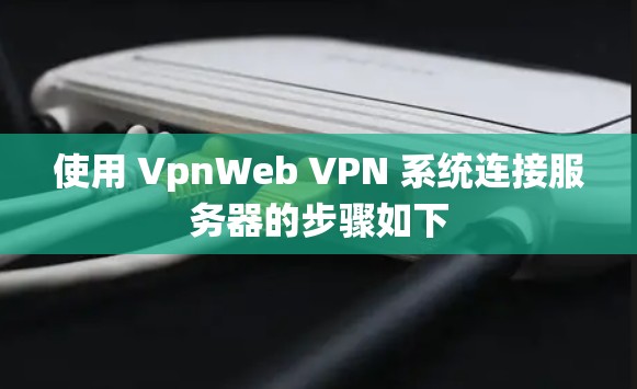 使用 VpnWeb VPN 系统连接服务器的步骤如下 使用 VpnWeb VPN 系统连接服务器的步骤如下