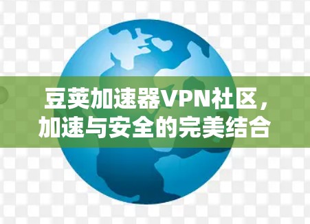 豆荚加速器VPN社区，加速与安全的完美结合