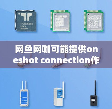 网鱼网咖可能提供oneshot connection作为VPN功能，但其具体覆盖范围和功能需要进一步确认。以下是基于上述思考的总结