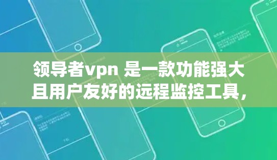 领导者vpn 是一款功能强大且用户友好的远程监控工具，适合需要实时监控设备和网络状态的用户。它提供实时监控、设备管理、安全检查和分析功能，适合个人用户、企业用户和教育机构等