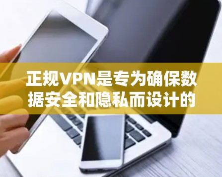 正规VPN是专为确保数据安全和隐私而设计的应用程序。以下是选择正规VPN的详细指南