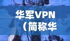 华军VPN(简称华军VPN)是一家知名的VPN服务公司,专注于提供安全、可靠的VPN解决方案。如果你是想在游戏加速方面寻找工具,可能需要寻找专门针对网络游戏加速的软件。以下是一些推荐的工具,供你参考 华军VPN(简称华军VPN)是一家知名的VPN服务公司,专注于提供安全、可靠的VPN解决方案。如果你是想在游戏加速方面寻找工具,可能需要寻找专门针对网络游戏加速的软件。以下是一些推荐的工具,供你参考