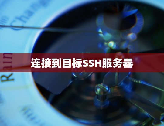 连接到目标SSH服务器