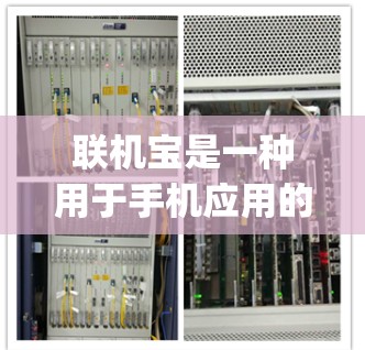联机宝是一种用于手机应用的软件，通常用于在线通话、视频、游戏等目的。虽然它提供了一定的VPN功能，但具体情况取决于具体的应用设置和功能。以下是一些关于联机宝是否可以当vpn的分析和建议