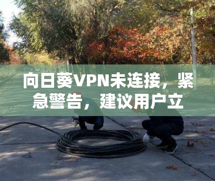 向日葵VPN未连接,紧急警告,建议用户立即关闭 向日葵VPN未连接,紧急警告,建议用户立即关闭
