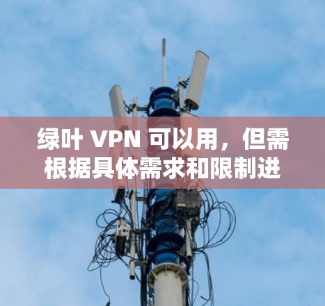 绿叶 VPN 可以用，但需根据具体需求和限制进行选择。以下是详细的步骤和注意事项