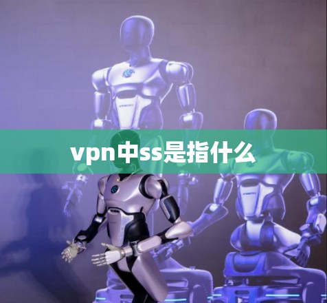 vpn中ss是指什么