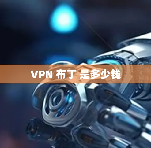 VPN 布丁 是多少钱