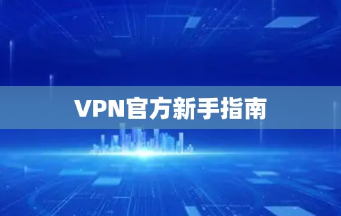 VPN官方新手指南 VPN官方新手指南