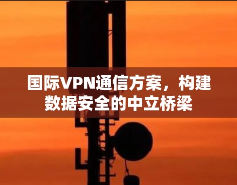 国际VPN通信方案，构建数据安全的中立桥梁