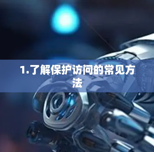 1.了解保护访问的常见方法 1.了解保护访问的常见方法