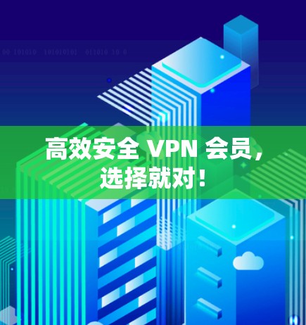 高效安全 VPN 会员,选择就对! 高效安全 VPN 会员,选择就对!