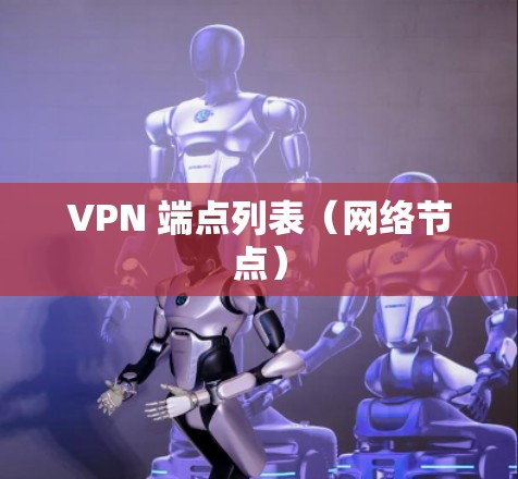 VPN 端点列表（网络节点）