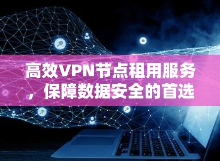 高效VPN节点租用服务,保障数据安全的首选方案 高效VPN节点租用服务,保障数据安全的首选方案