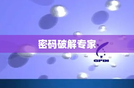 密码破解专家 密码破解专家