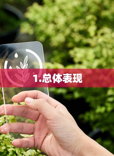 1.总体表现 1.总体表现