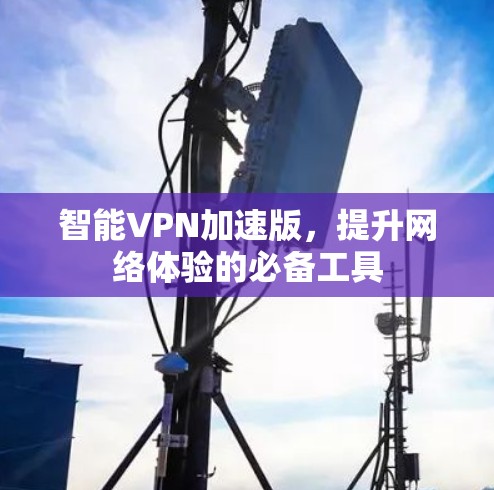 智能VPN加速版，提升网络体验的必备工具