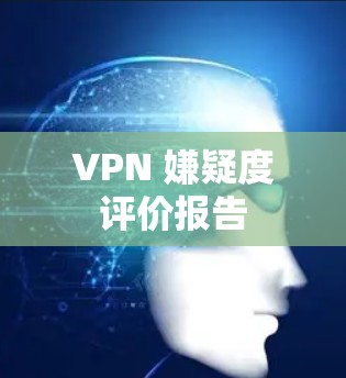 VPN 嫌疑度评价报告 VPN 嫌疑度评价报告