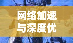 网络加速与深度优化，构建高效VPN网络