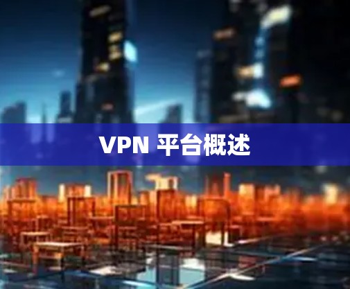 VPN 平台概述