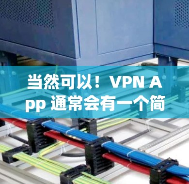 当然可以！VPN App 通常会有一个简单易用的界面，帮助你快速接入网络。以下是一个非常简单的VPN快速体验的步骤指南