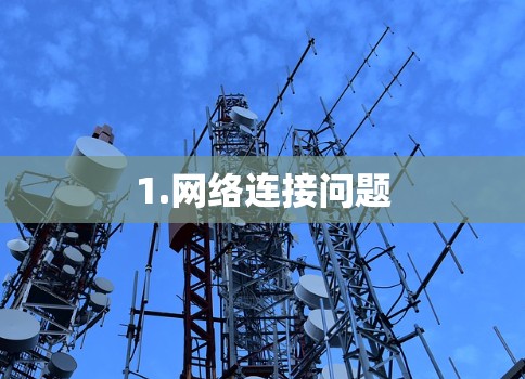 1.网络连接问题 1.网络连接问题