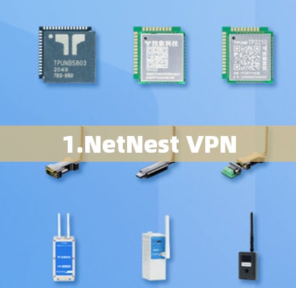 1.NetNest VPN