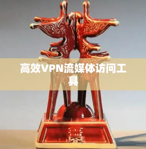 高效VPN流媒体访问工具