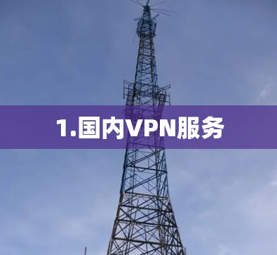 1.国内VPN服务 1.国内VPN服务