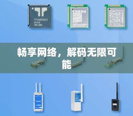 畅享网络,解码无限可能