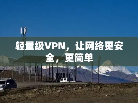 轻量级VPN,让网络更安全,更简单