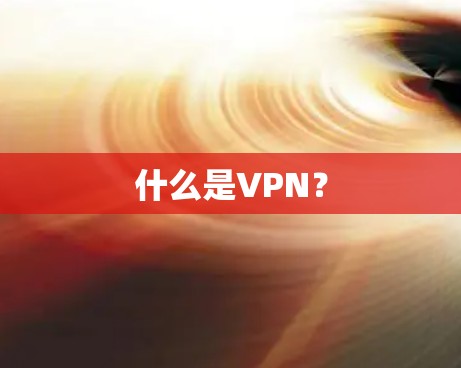 什么是VPN? 什么是VPN?