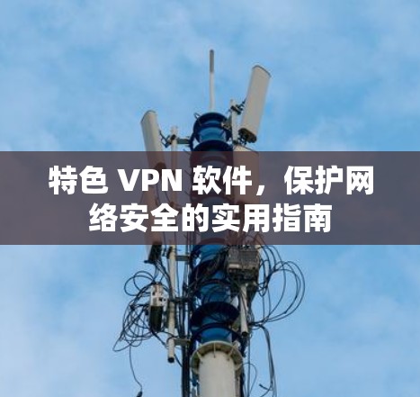 特色 VPN 软件,保护网络安全的实用指南